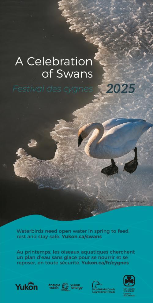 2025 A Celebration of Swans poster featuring photography by Takeshi Hanatani 2025 A Celebration of Swans poster