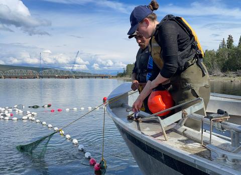 hpw fish monitoring