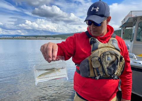 EDI Fish Monitoring