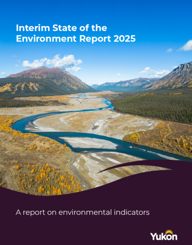 Cover of the Interim State of the Environment Report 2025