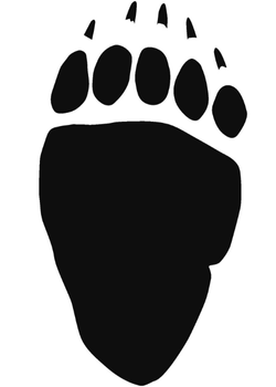 Grizzly bear print, hind foot