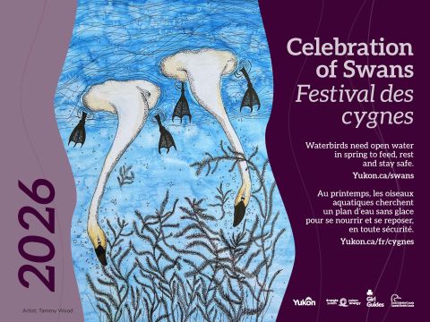 Poster for the 2026 A Celebration of Swans