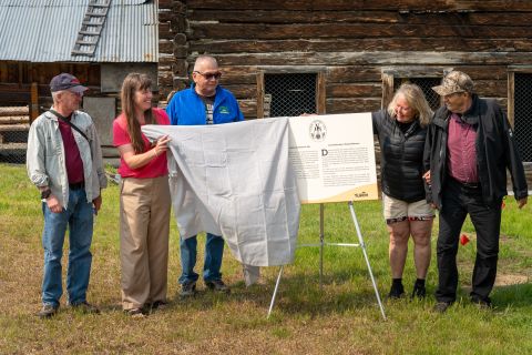 Left to right: Tim Green, Yukon Heritage Resources Board, Sierra van der Meer, Yukon government, Carl Sidney, Yukon Heritage Resources Board, Zena McLean, Yukon Heritage Resources Board and Charlie James, Carcross/Tagish First Nation, unveil the commemorative plaque at Saturday's designation ceremony. Credit Government of Yukon