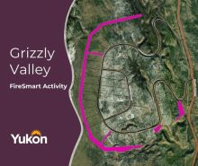 Three areas in the Grizzly Valley subdivision where FireSmart work will happen. 